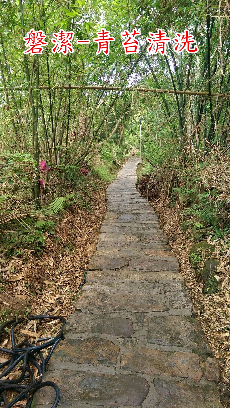 磐潔-登山步道-青苔清洗